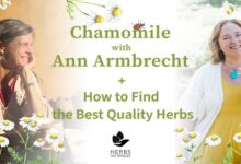 Best-Quality Herbs