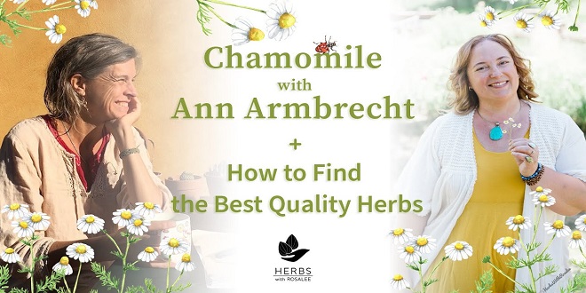Best-Quality Herbs