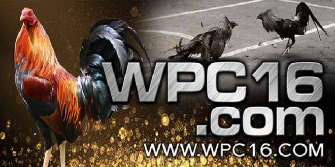 WPC 16